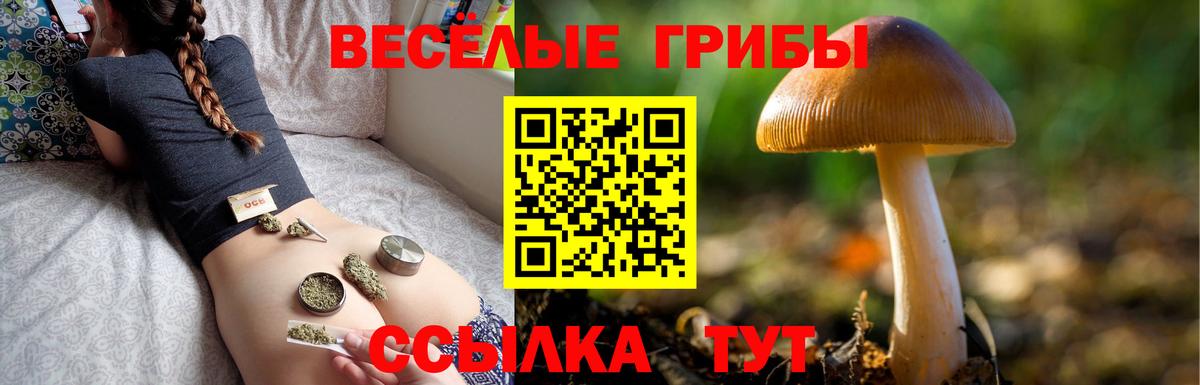 Галлюциногенные грибы Magic Shrooms Михайловка